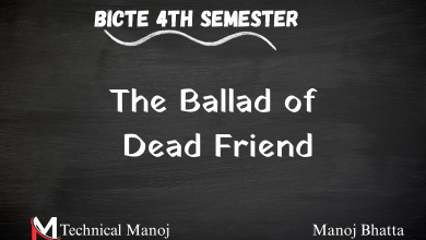 The Ballad of Dead Friend